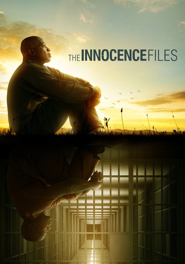The Innocence Files poster