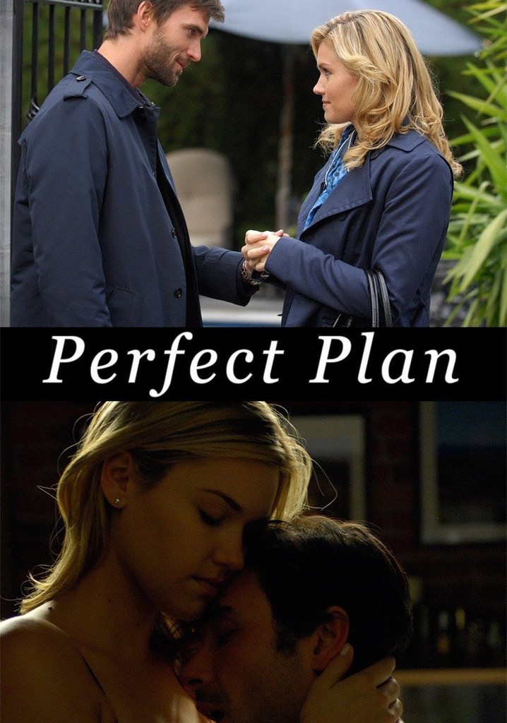 Perfect Plan poster