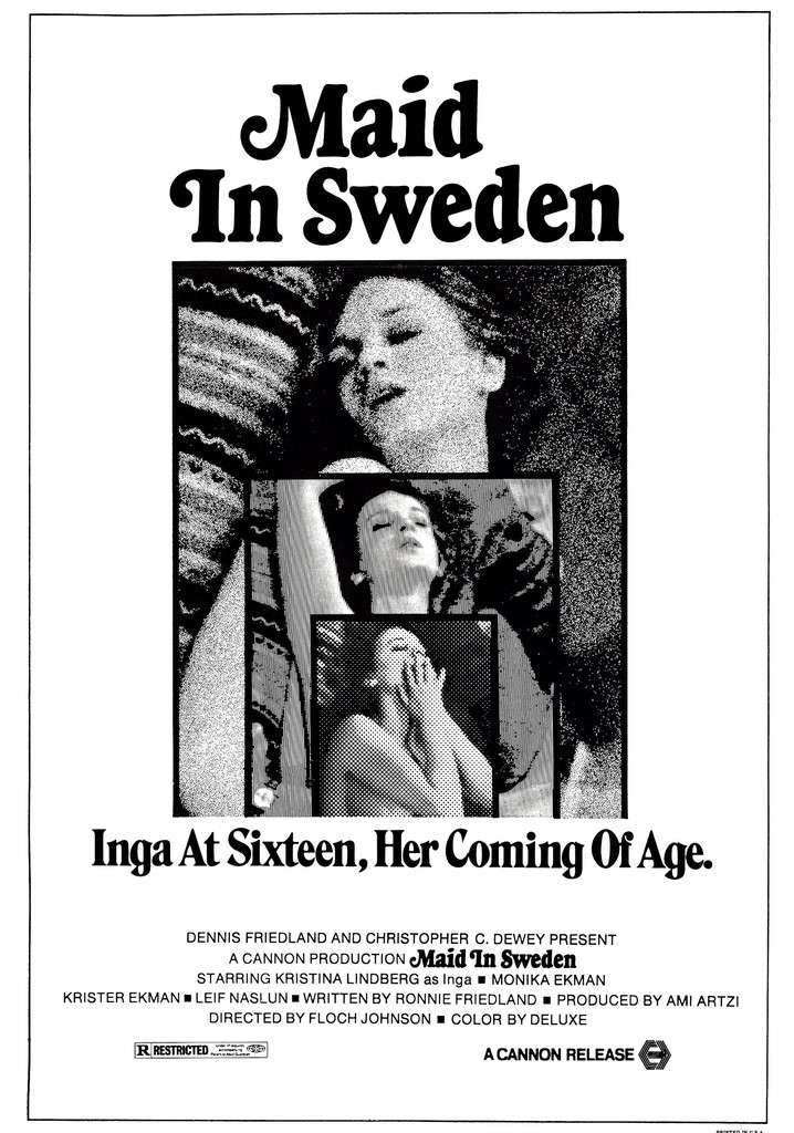Maid in Sweden poster