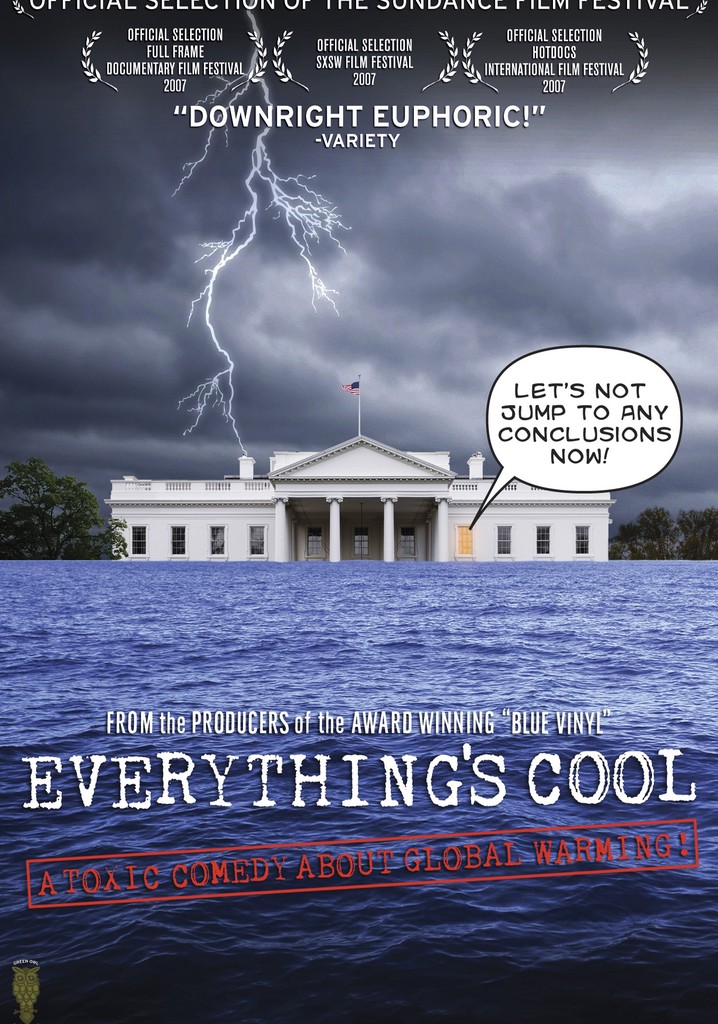 Everything's Cool poster