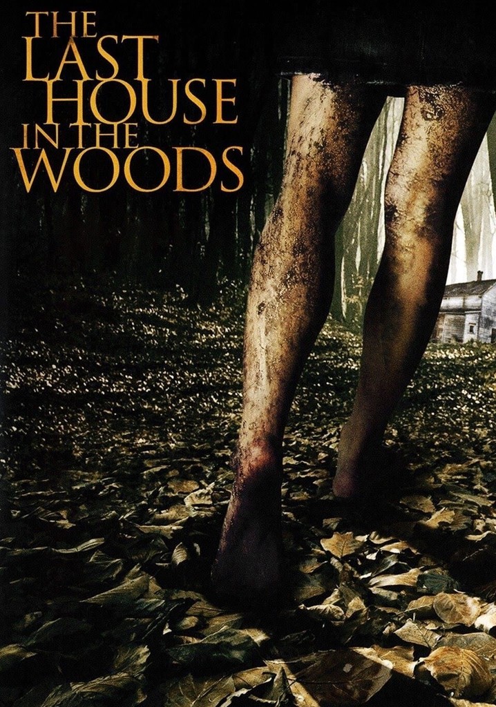 The Last House in the Woods poster