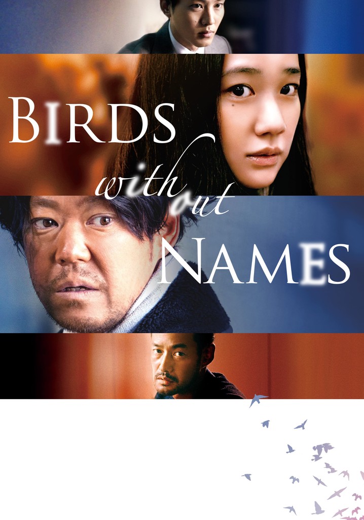 Birds Without Names poster