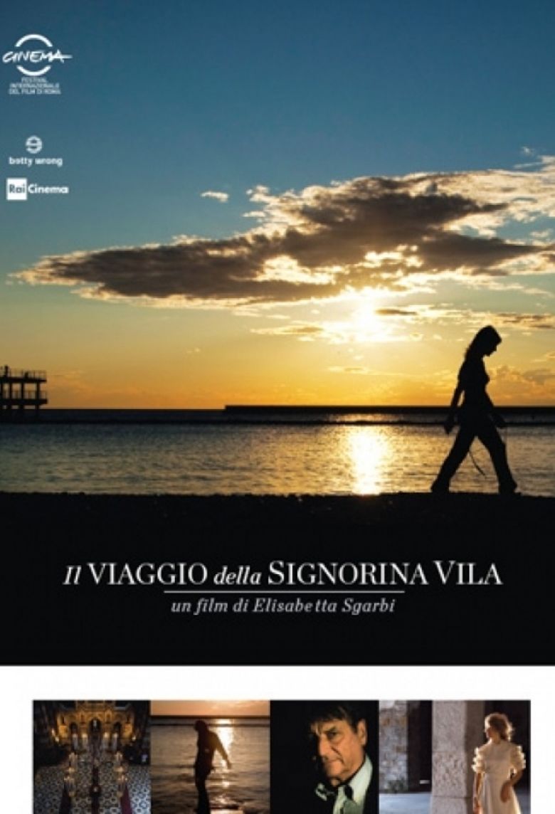 Il viaggio della signorina Vila poster