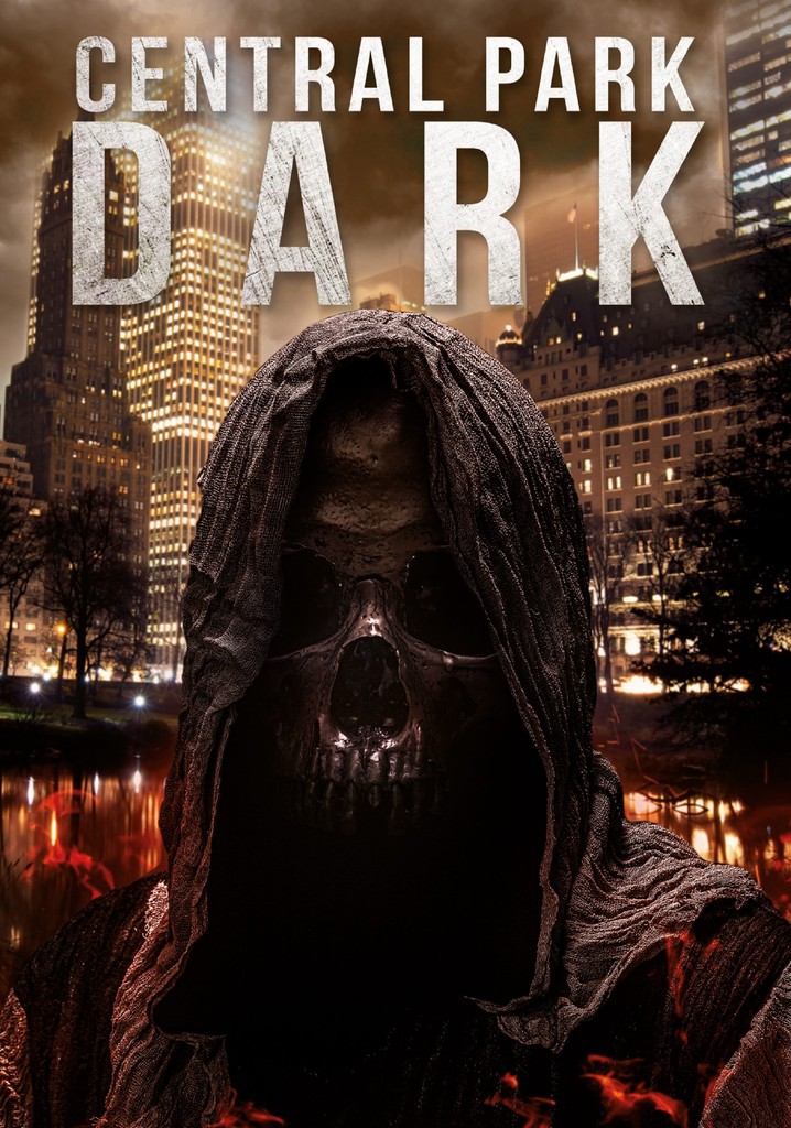 Central Park Dark poster
