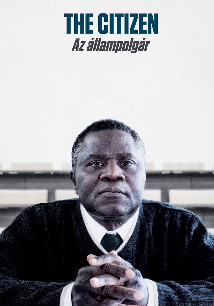The Citizen poster
