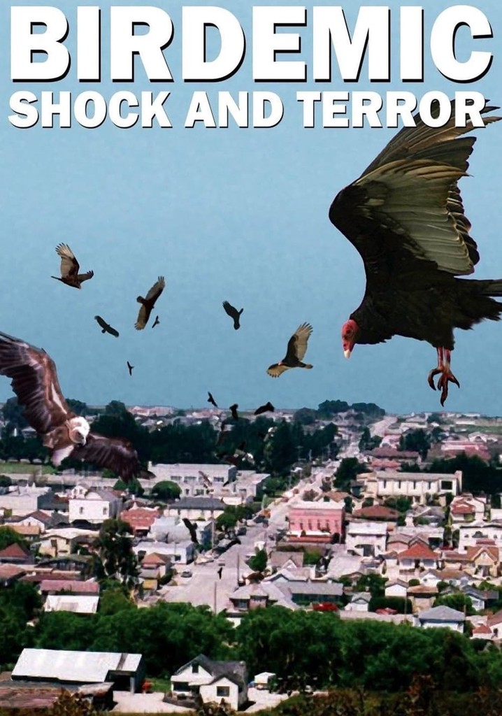Birdemic: Shock and Terror poster