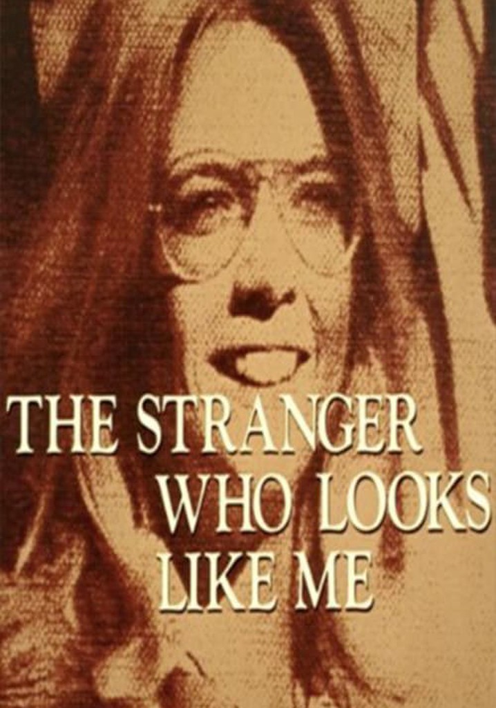 The Stranger Who Looks Like Me poster