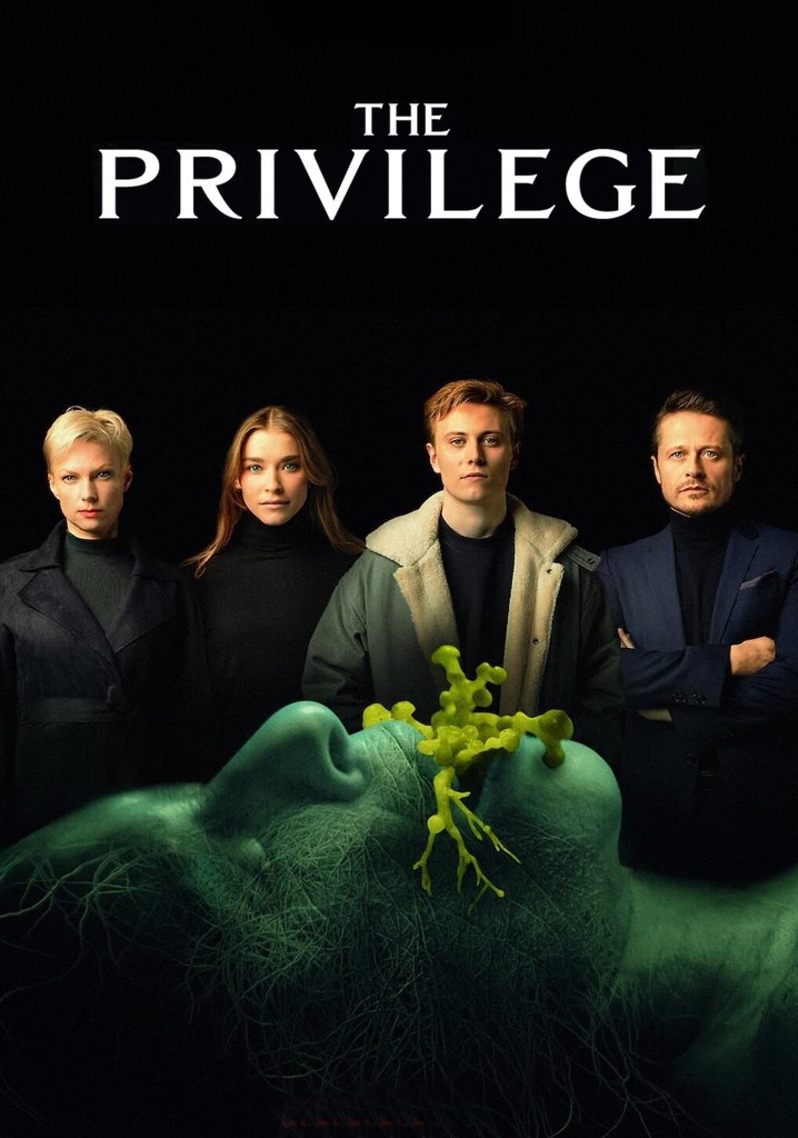 The Privilege poster