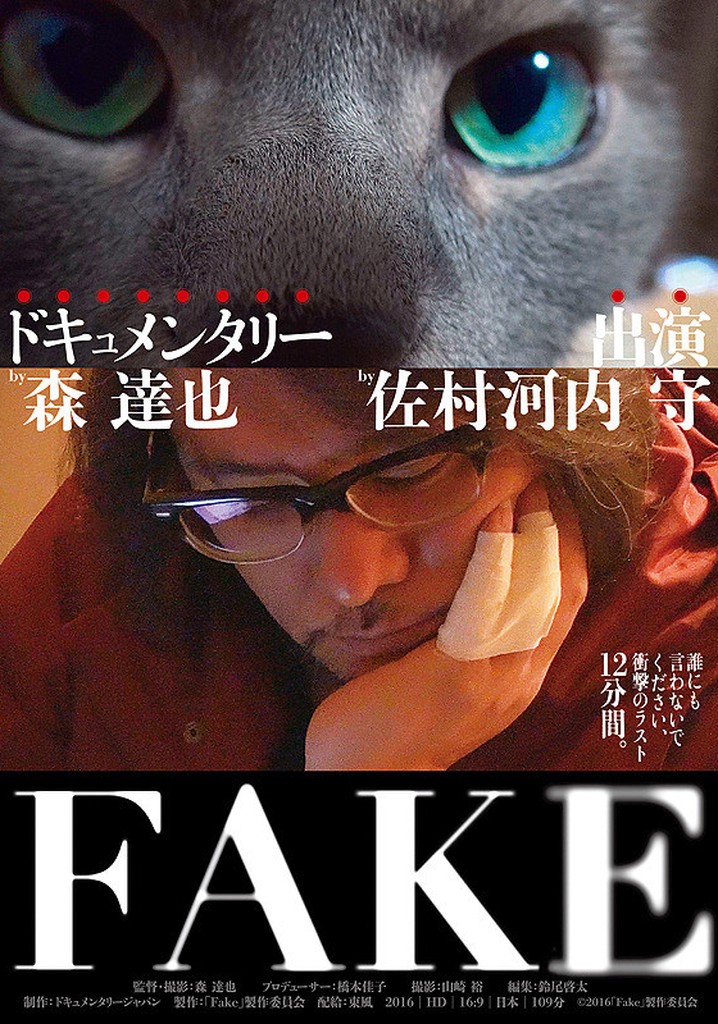 FAKE poster