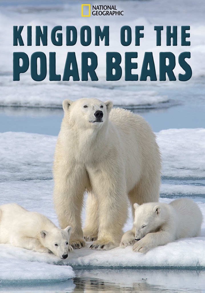 Kingdom of the Polar Bears poster