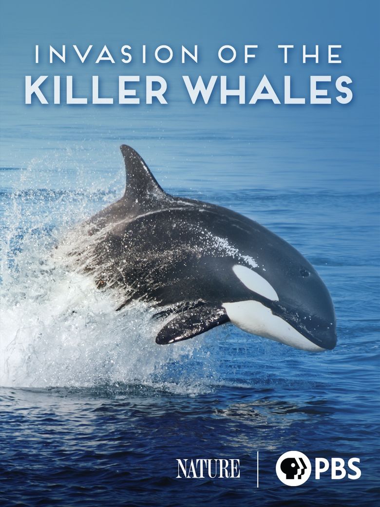 Invasion of the Killer Whales poster