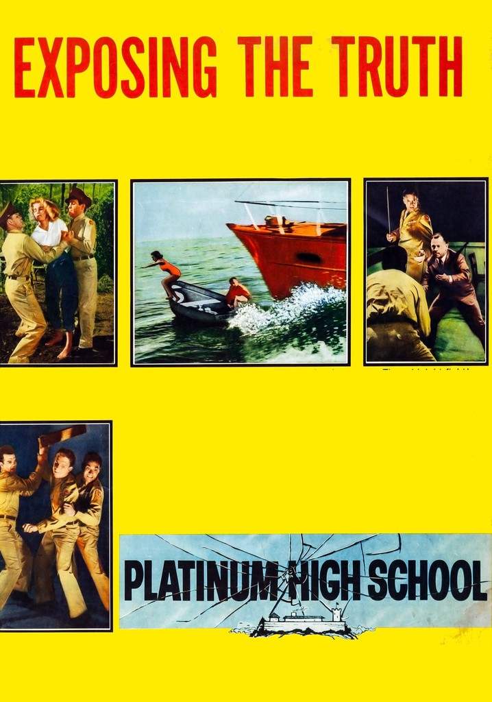 Platinum High School poster