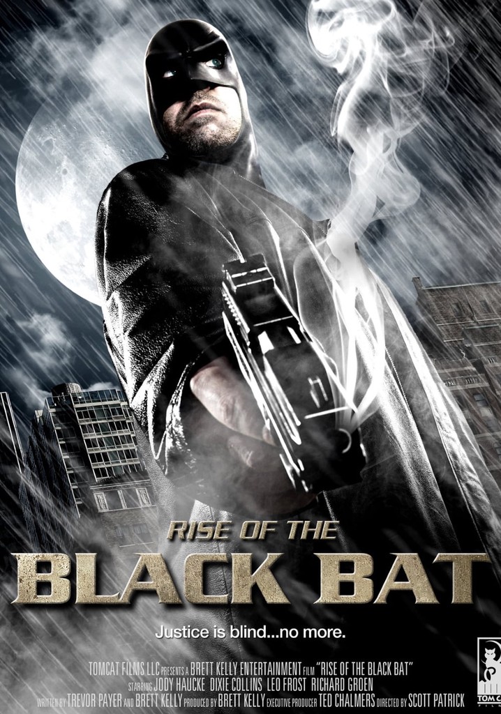 Rise of the Black Bat poster
