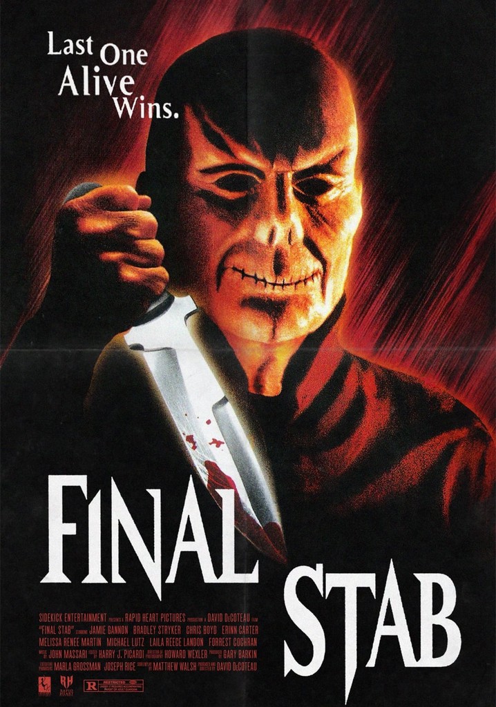 Final Stab poster