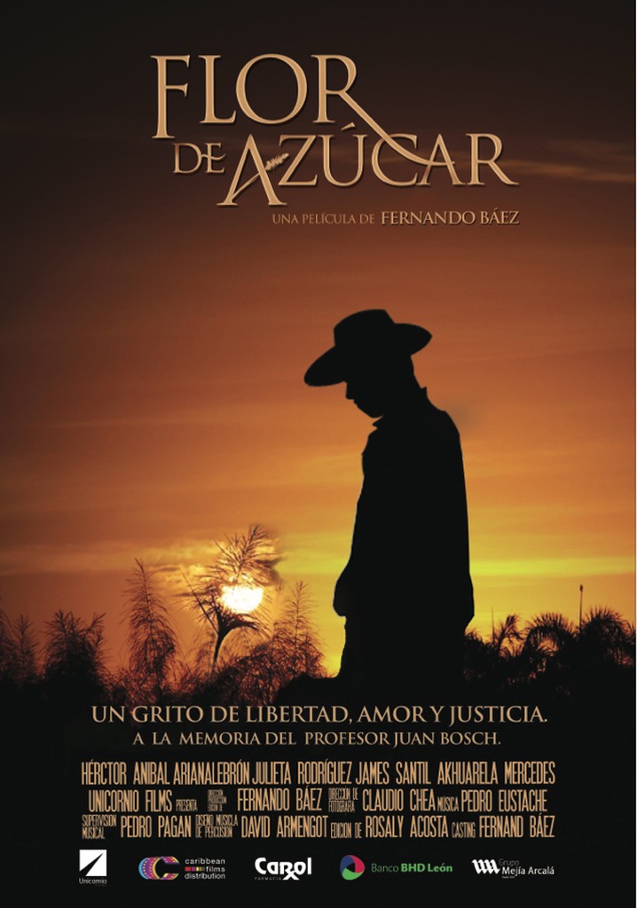 Sugar Fields poster