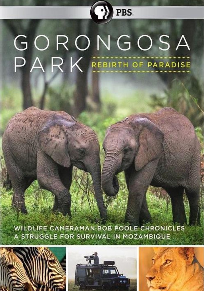 Gorongosa Park: Rebirth of Paradise poster
