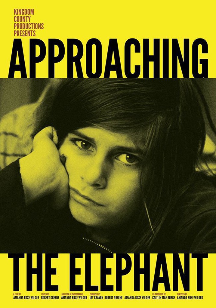 Approaching the Elephant poster