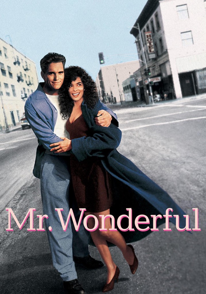 Mr. Wonderful poster