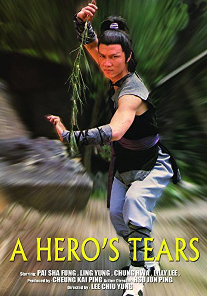 A Hero's Tears poster