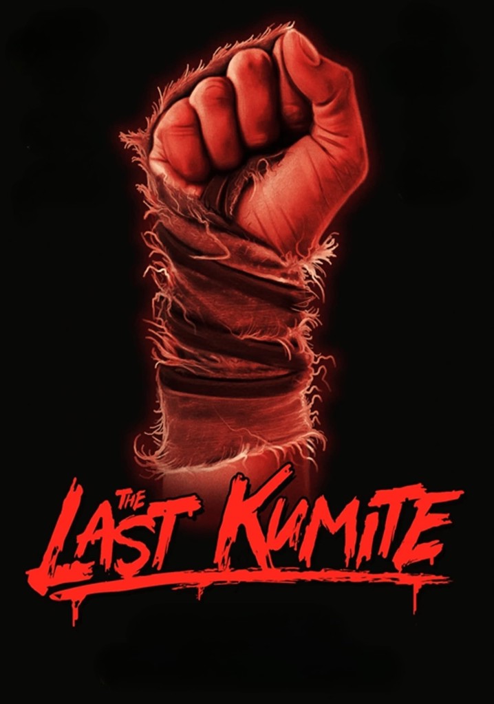 The Last Kumite poster