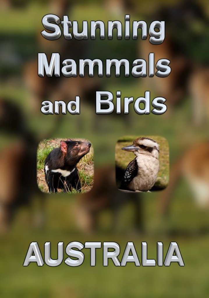 Stunning Mammals and Birds: Australia poster