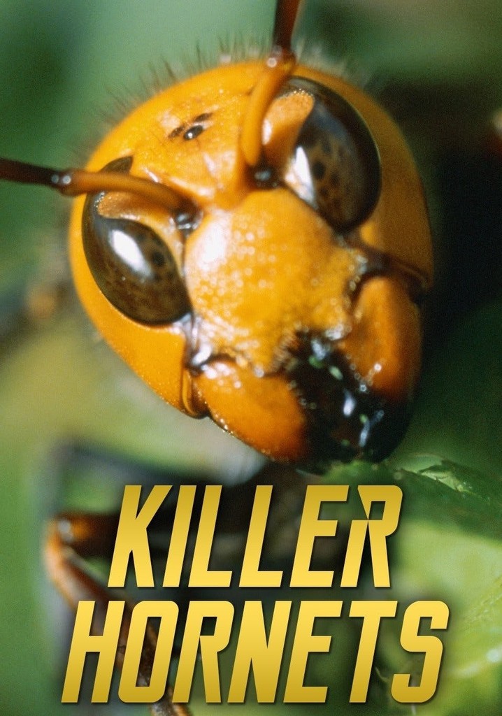 Killer Hornets poster