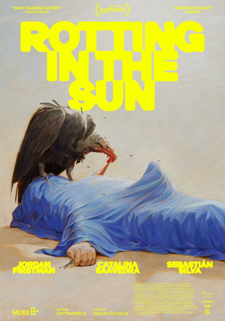 Rotting in the Sun poster