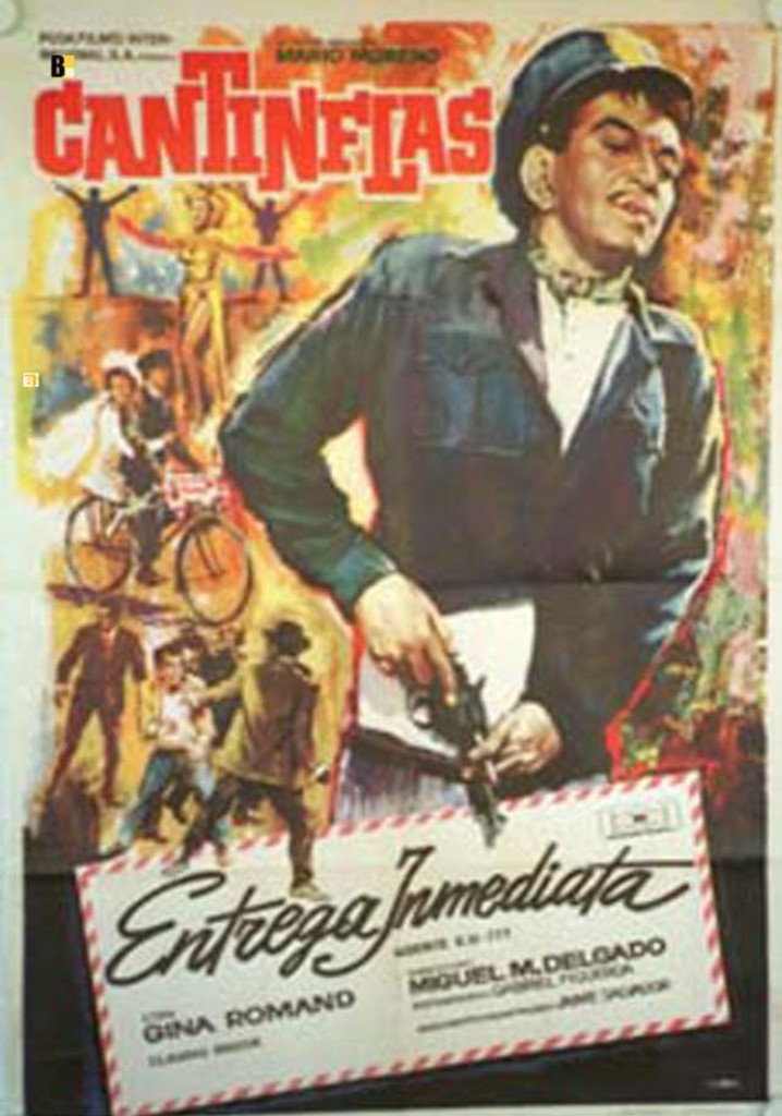 Entrega Inmediata poster