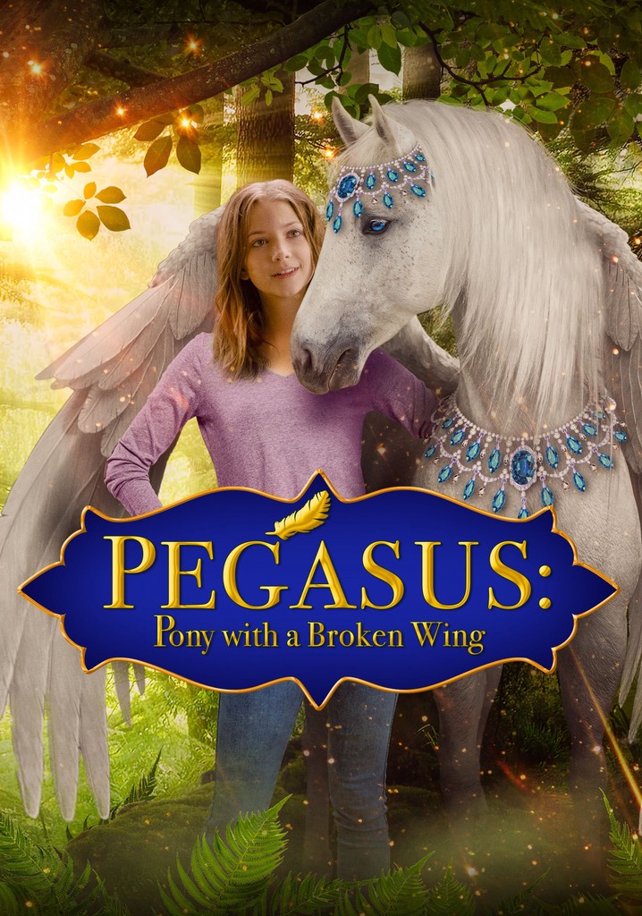 Pegasus: Pony With a Broken Wing poster