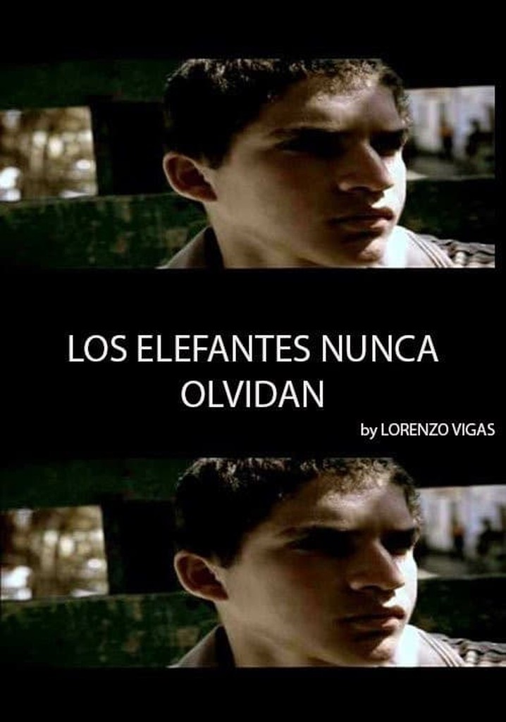 Elephants Never Forget poster