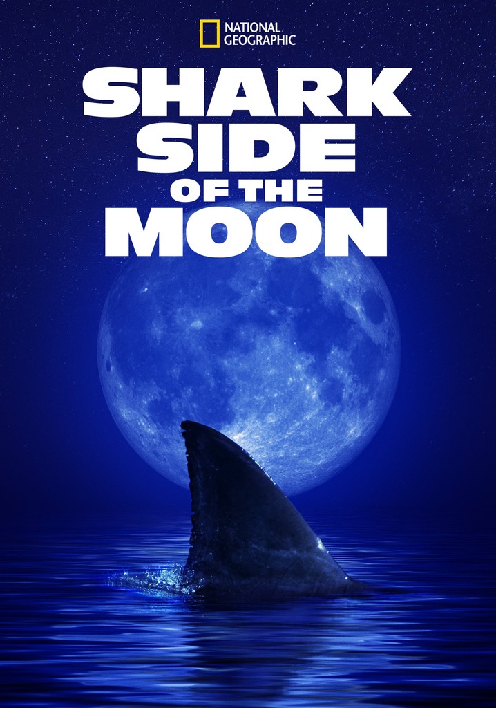Shark Side of the Moon poster