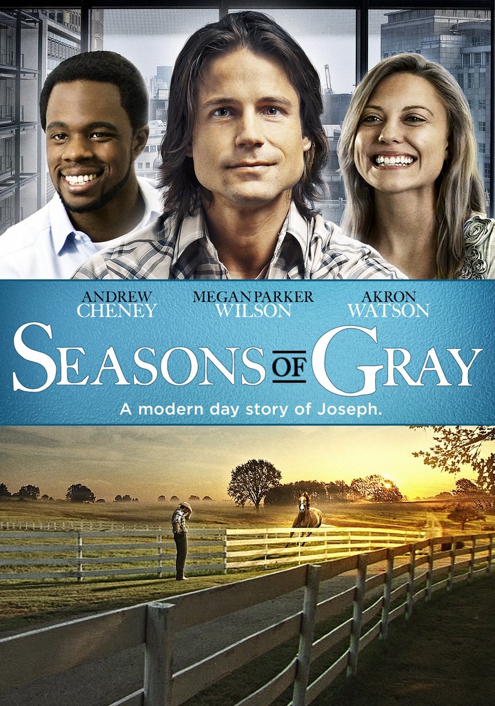 Seasons of Gray poster