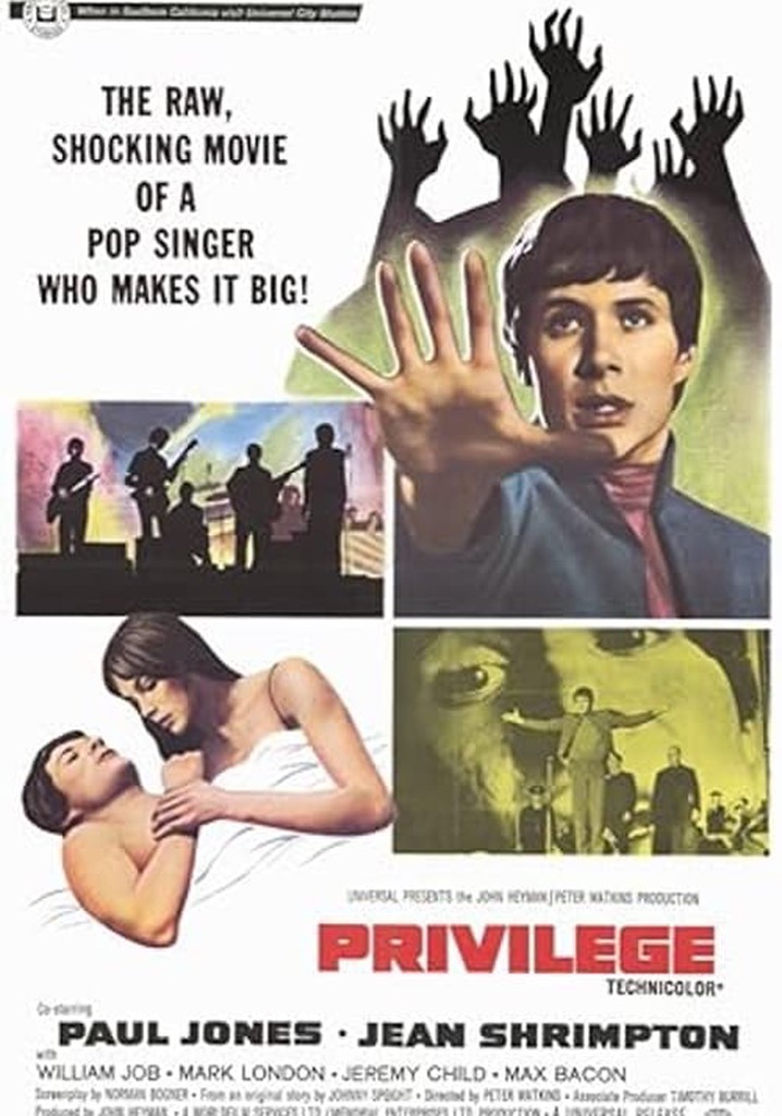 Privilege poster