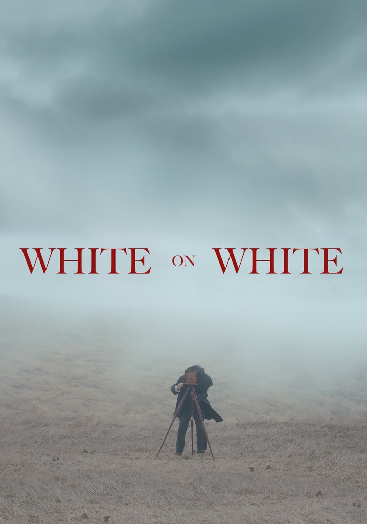 White on White poster