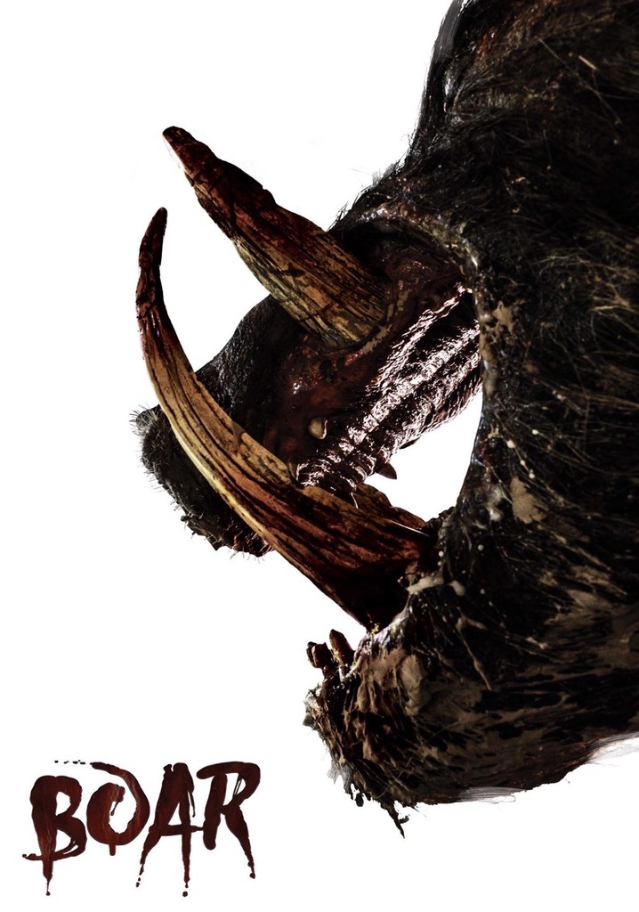 Boar poster