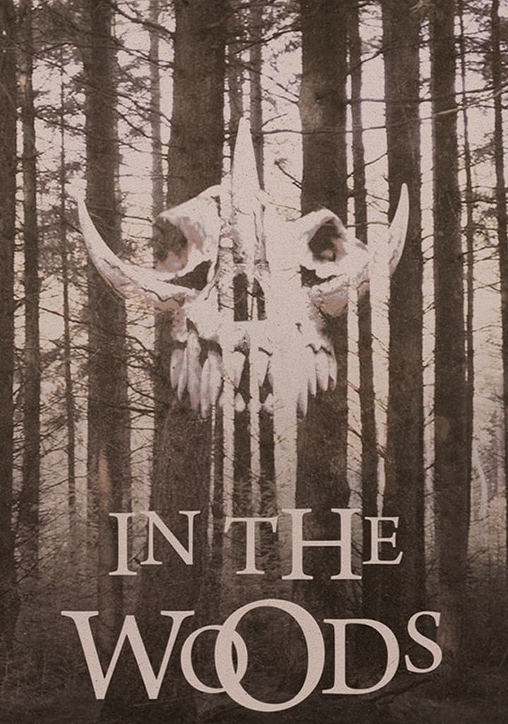 In the Woods poster