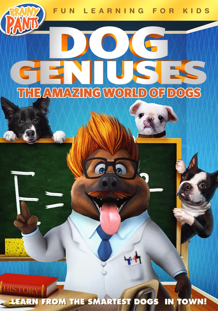 Dog Geniuses poster