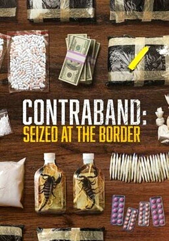 Contraband: Seized at the Border poster