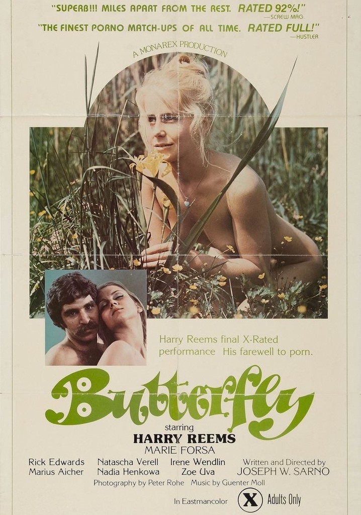 Butterflies poster