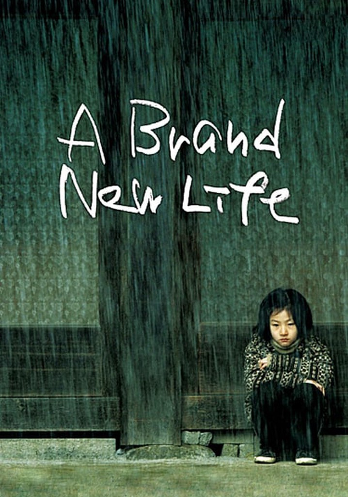 A Brand New Life poster