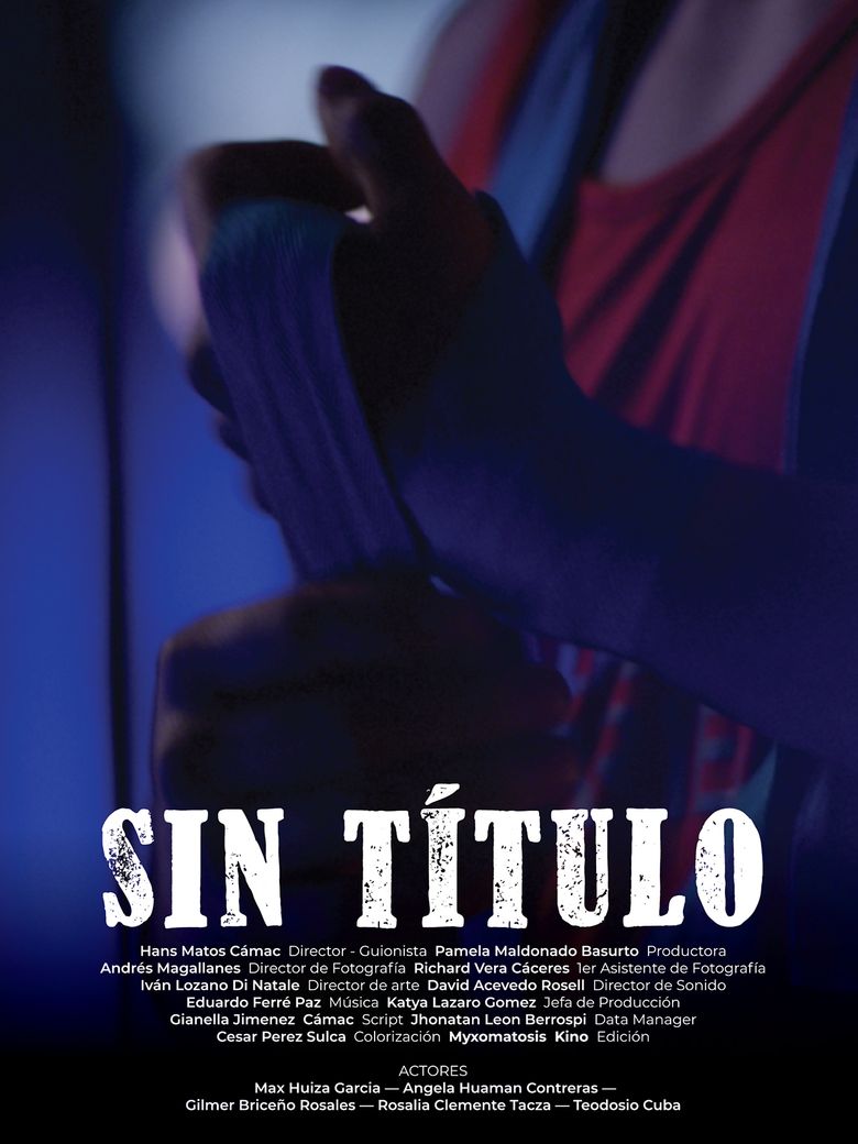 Sin Título poster