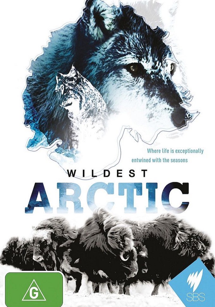 Arctic With Bruce Parry poster