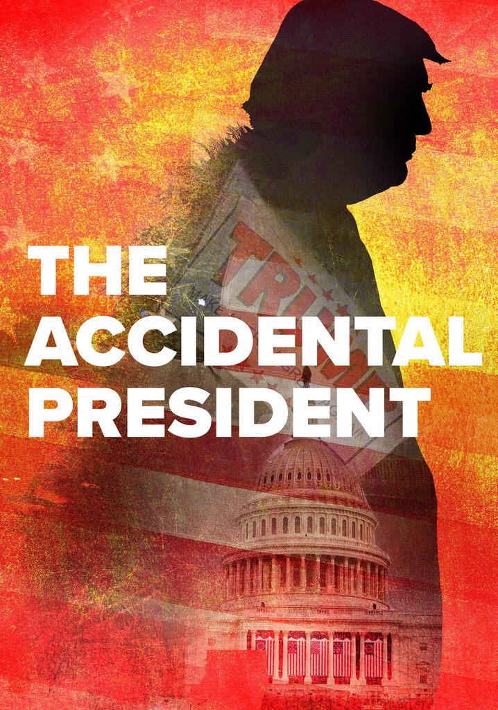 The Accidental President poster