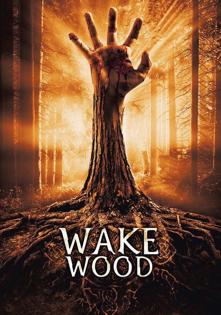 Wake Wood poster