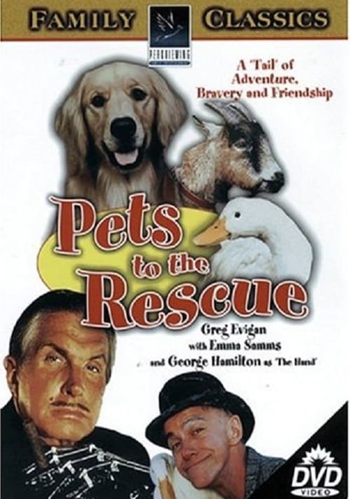 Pets poster