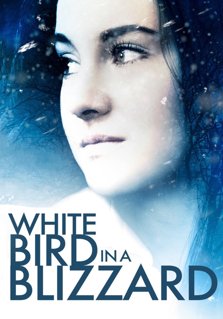White Bird in a Blizzard poster