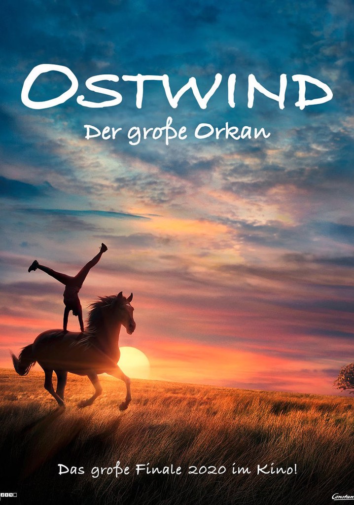 Windstorm: The Great Hurricane poster