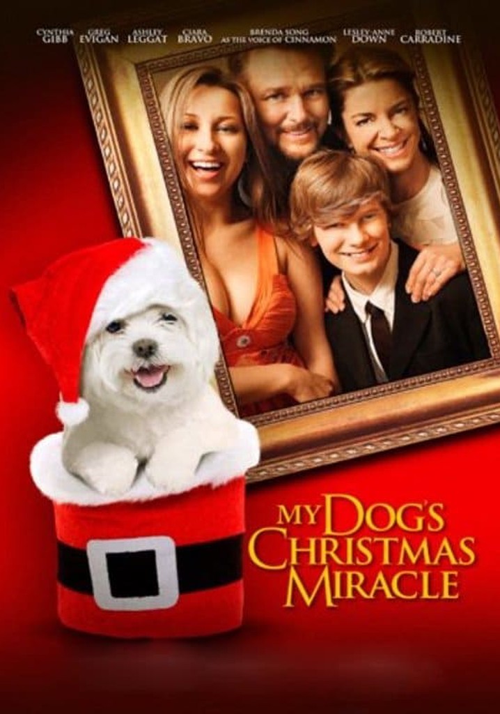 My Dog's Christmas Miracle poster