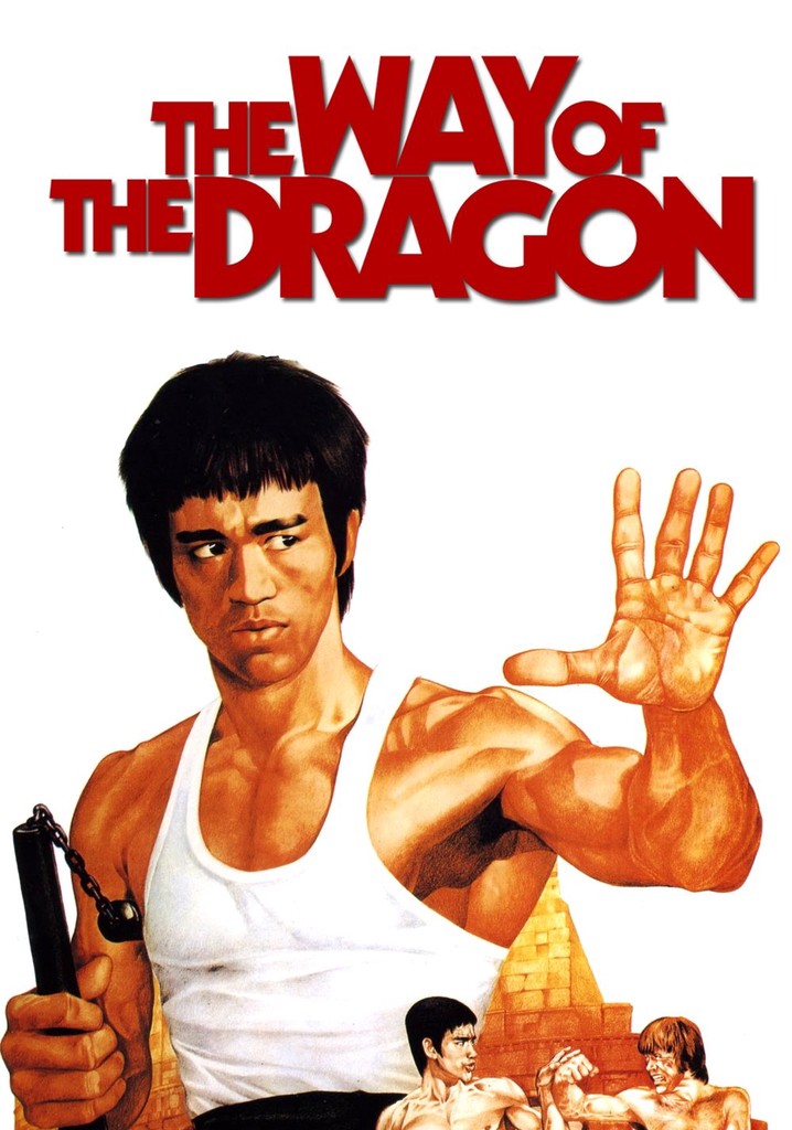 The Way of the Dragon poster