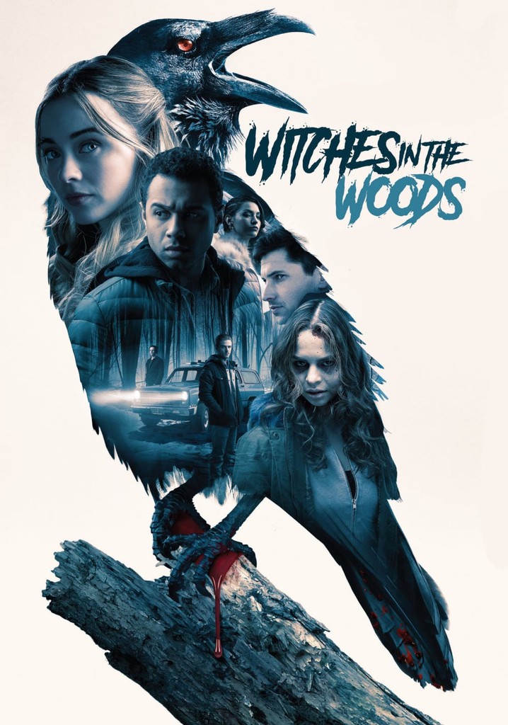 Witches in the Woods poster